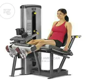 Leg Extension Machine Gategold