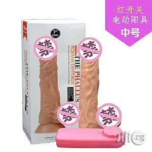 Generic Dildo And Vibrator