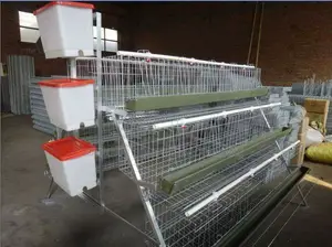 Dekoraj Imported 120 Birds Hot Galvanized Battery Cage
