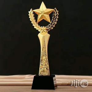 Awards for Best Performance