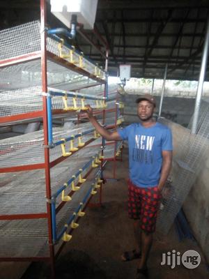 Battery Cage With Water Tanks