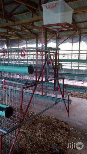 Battery Cages for Birds Layers Birds.