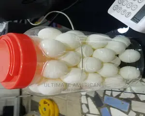 60 Pieces of Table Tennis Balls