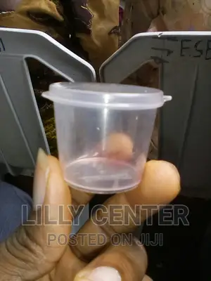 Communion Cups