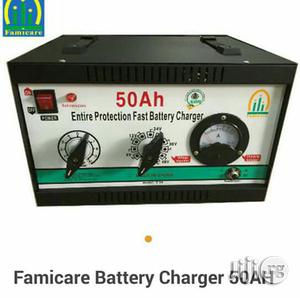 Farmicare Battery Charger 6v to 48v 50ah