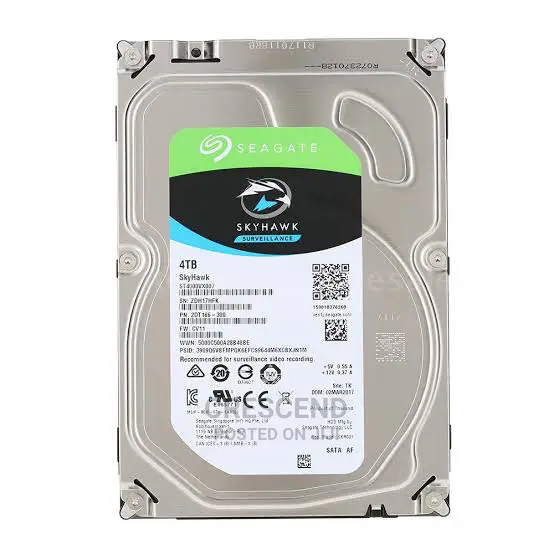 4 Terabyte Seagate Surveillance Hard Disk Drive