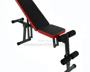Adjustable Sit Up Bench 167