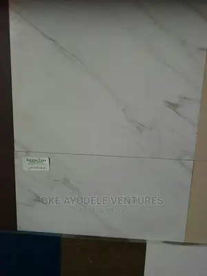 Goodwill :60/60 Tiles