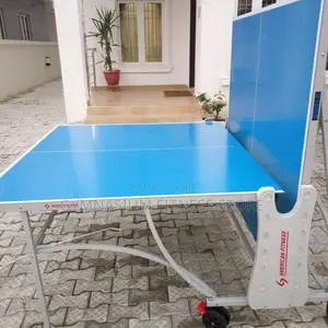 Outdoor Table Tennis Te5