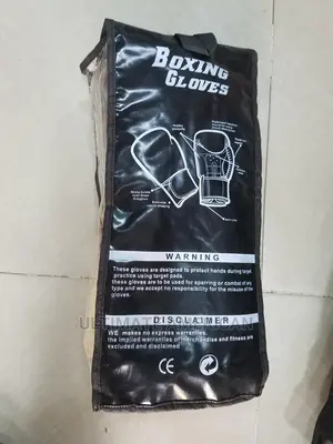 Everlast Boxing Gloves