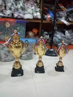 Set of Gold Trophy
