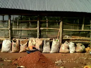 Farm Management Services(Big & Small Farms)