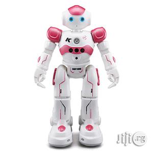 Toy Biped Robot For Children Kids Birthday Gift Present