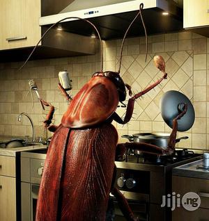 Fumigation Of Your House