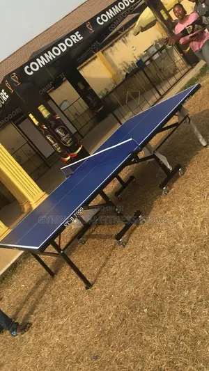 Outdoor Table Tennis Board.