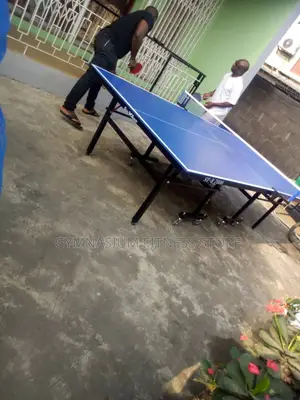 Outdoor Table Tennis Board New 5230