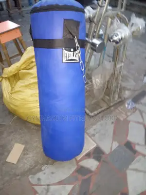 Everlast Punching Bag Blue111