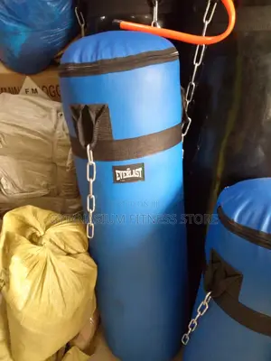 Everlast Punching Bag Blue 86