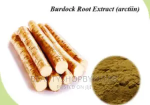 Burdock Root Powder - 100g