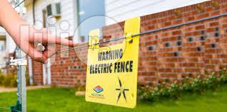 Electric Perimeter Fence