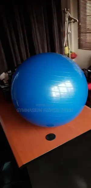 Gym Exercise Ball 65cm 664