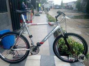 Silver Fox Sport Bicycle
