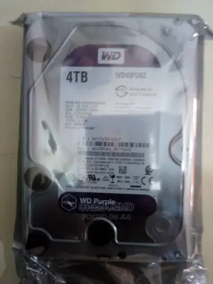4 Terabyte Western Digital Surveillance Hard Disk Drive