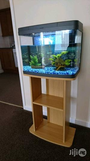 Aquariums And Water Bubbles
