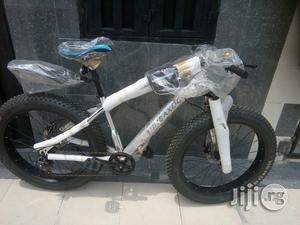 Fat Tyre Bicycle