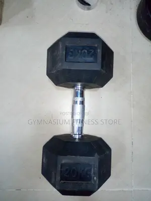 20kg Hex Dumbbell