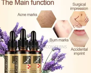 Original Lavender( Wholesale of 20+ Price)