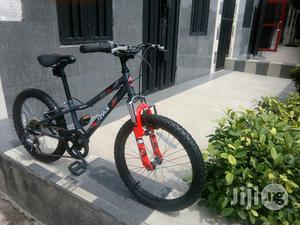 Apollo Chaos Children Bicycle 20 Inches