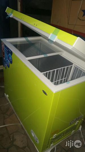 Radof Deep Freezer ( Model - Rd310g )