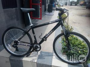 Mountain Sport Bicycle
