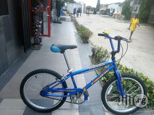 Phoenix Children Bicycle 20 Inches