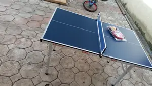 Children Table Tennis Indoor Foldable 290fg