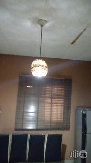 Unique Handcraft Pendent Light Is Available