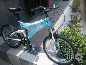 Silverfox Children Bicycle 20 Inches