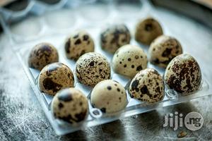 Quail Eggs