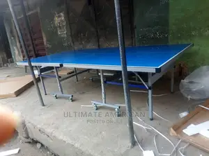 Outdoor Table Tennis