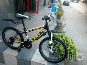 DBS Children Bicycle 20 Inches