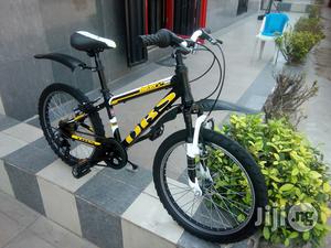 20 Inches Suspension Children Bicycle