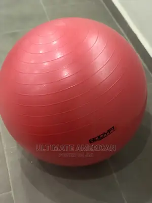 Bodyfit Brand New Gym Ball