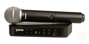 Shure Blx24/Pg58