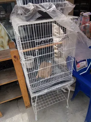 Imported Cage for Sale