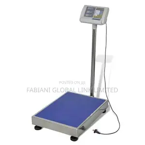 300kg Electronic Digital Scale