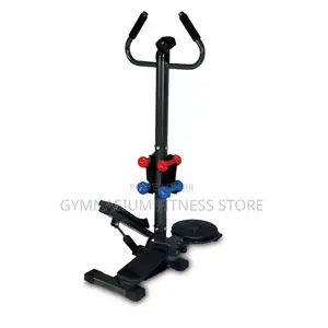Standing Stepper With Handle, Dumbbell And Twister 7007