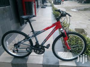 Schwinn Teenager Sport Bicycle