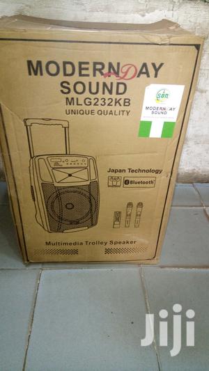 Rechargeable Wireless Speaker With Microphones