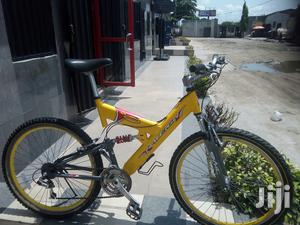 Raleigh Sport Bicycle
